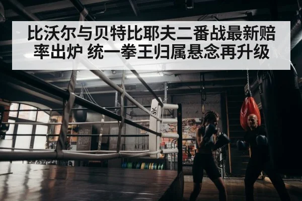 boxer training